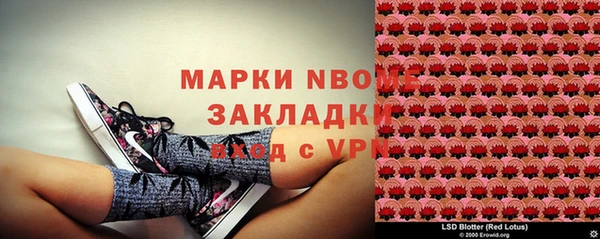 прущая мука Арсеньев