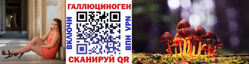mega зеркало  Починок  Псилоцибиновые грибы GOLDEN TEACHER  цена наркотик 